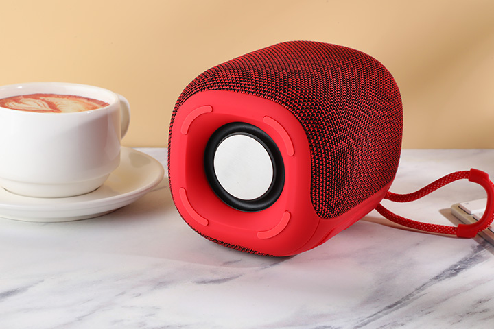 FLS-318 Speaker-08.jpg
